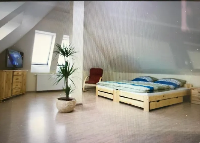 Svet * Třinec